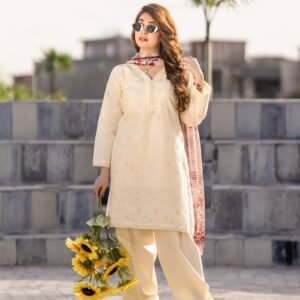 Zebaish-3pc (Copy)